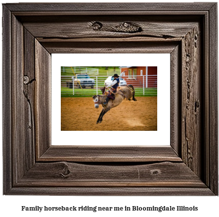 family horseback riding near me in Bloomingdale, Illinois